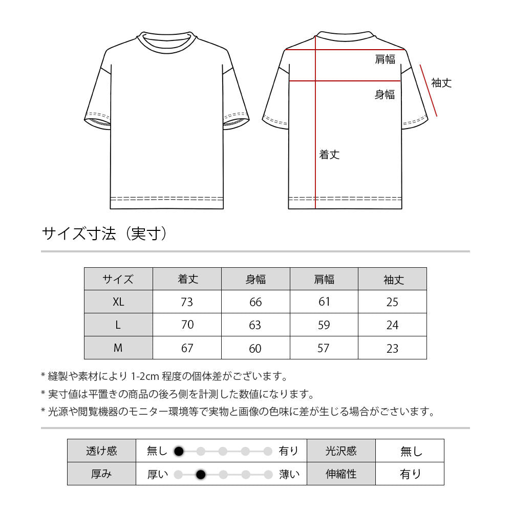 Tシャツ プリントロゴ 半袖 メンズ