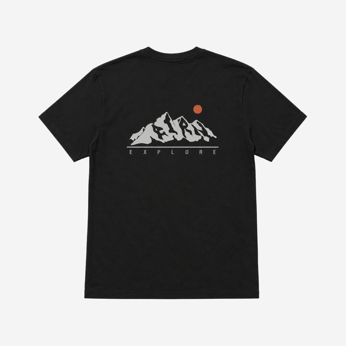Tシャツ プリント マウンテン 半袖 メンズ